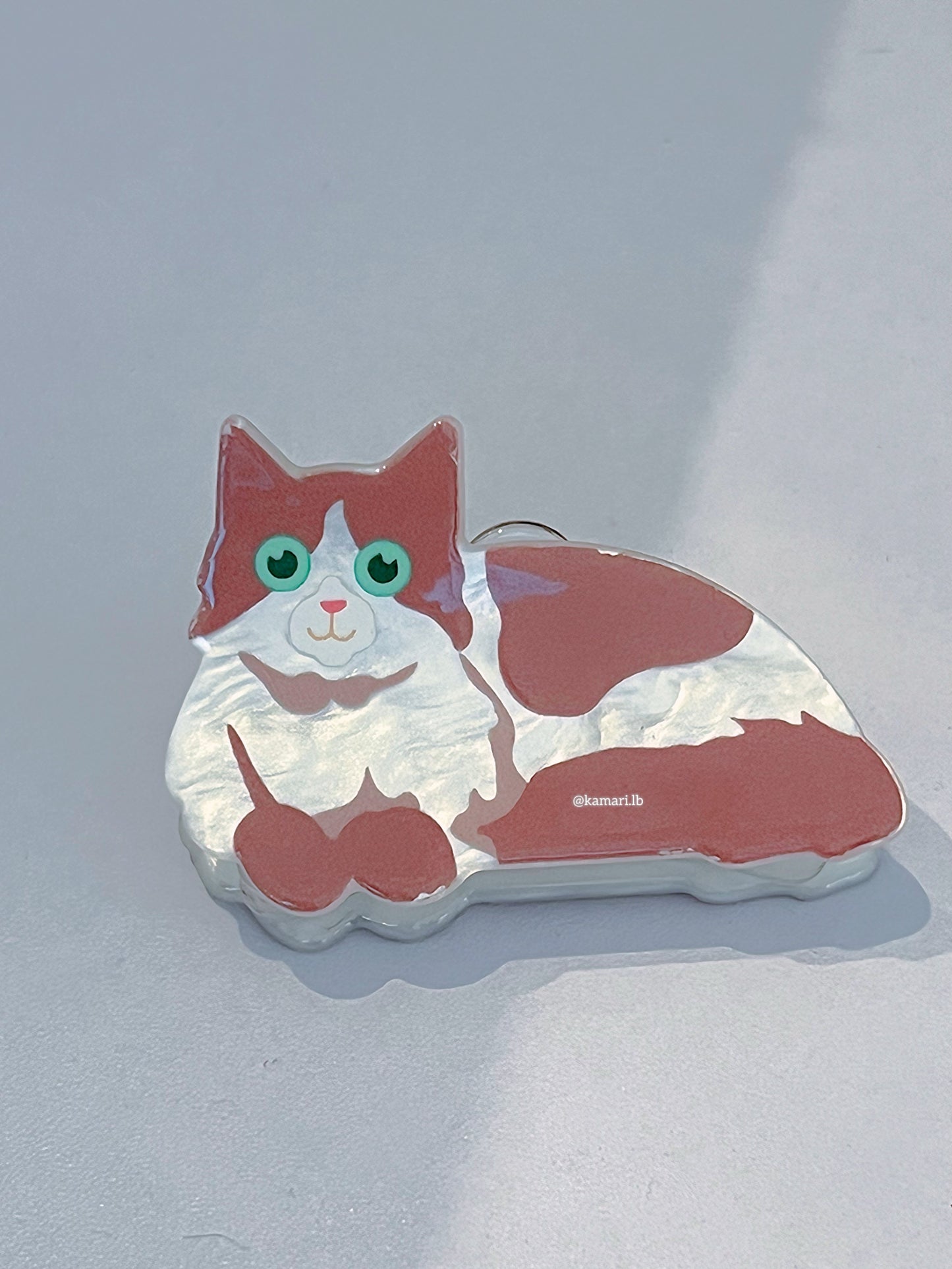 Acetic cat claw clips 🐈
