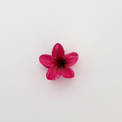 Mini Plumeria Flower Claw Clips