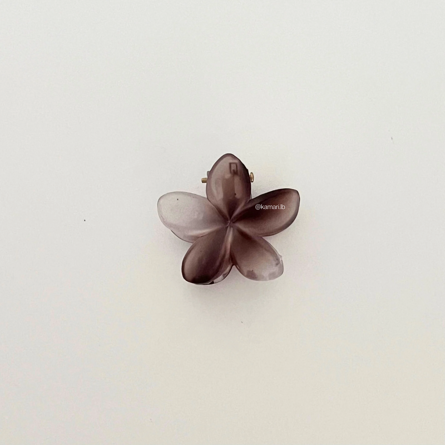 Mini Plumeria Flower Claw Clips